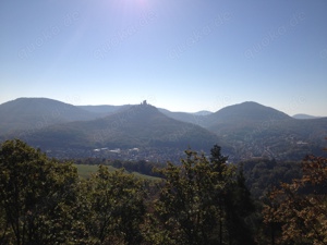 Suche: Wiese in Annweiler am Trifels Bild 2