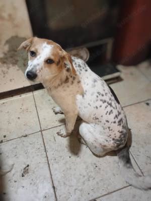  Rema ist jung, ruhig, freundlich.  Bild 5