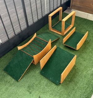 Kit zur Sozialisierung von Welpen und Hunden