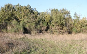 Erschlossenes Baugrundstück 1900m2 Meer 1500m. Meerblick
