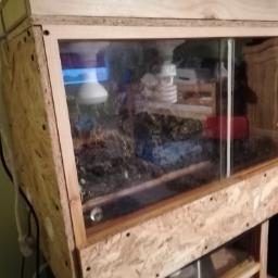 Verkaufe Holz - Terrarium  LxBxH:  80x40x56  - neuwertig -