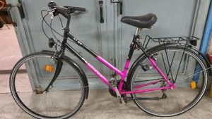 Fahrrad Pegasus KT 20