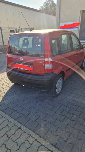 Fiat Panda  1.255 Hubraum  55PS Bild 2