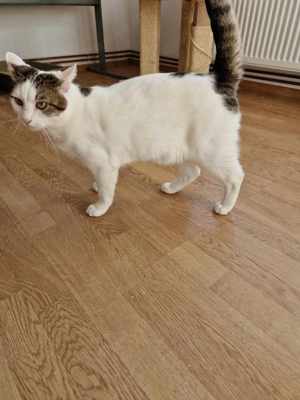 Winie sucht einen Ort zum Bleiben Bild 3