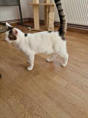 Winie sucht einen Ort zum Bleiben Bild 4