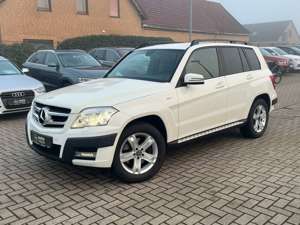 Mercedes-Benz GLK 250 CDI+4Matic+Motorschaden