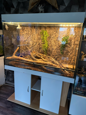 Terrarium mit Unterschrank