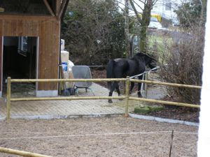 Offenstallplatz mit naturnahen Bachwiesen und schönem Reitgelände