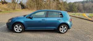 Volkswagen Golf Golf VII Diesel 5-Türer 1.6 TDI BlueMotion Bild 4