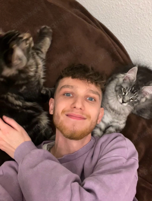 Katzensitter | Katzenbetreuung | Katze