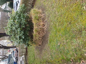 Team wester Garten Landschaftbau 