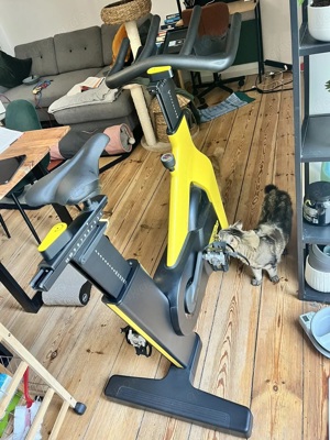 Technogym Bike Heimtrainer Bild 2