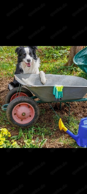 Gartenarbeiter 