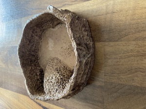 Wasserschale 15 cm JBL Steingut