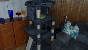 Großer Kratzbaum