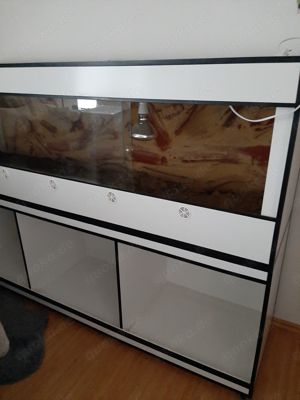 Kunststoffterrarium 