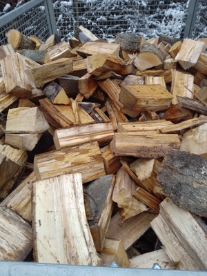 Buche frisch Brennholz 25cm