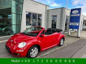 Volkswagen New Beetle