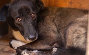 Hier kommt die bezaubernde Venus