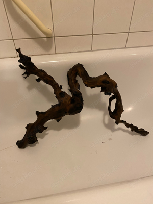 Aquarium Wurzel für süsswasser 