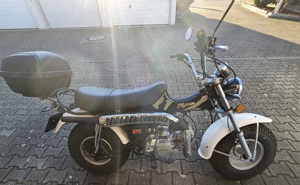   Skyteam T-Rex 125 Digital Einspritzung Euro 5- B196 nur 80 km  Motorrad Leichtkraftrad Chopper 