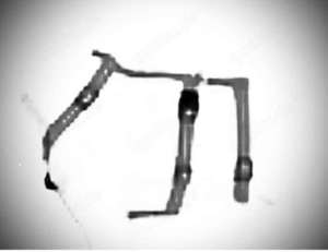 Sicherheitsgeschirre für Tierschutzverein gesucht