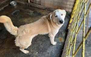 Wer zeigt Boomer, wie sich Liebe wirklich anfühlt? Bild 6