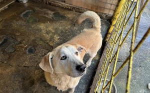 Wer zeigt Boomer, wie sich Liebe wirklich anfühlt? Bild 8