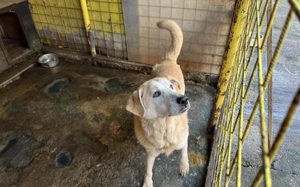 Wer zeigt Boomer, wie sich Liebe wirklich anfühlt? Bild 4