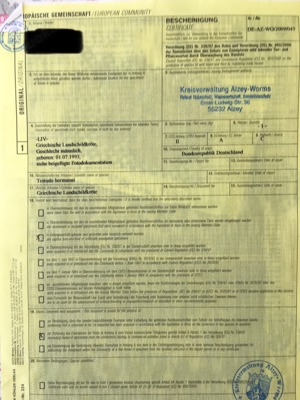 Griechische Landschildkröten t.h.b. adultes Pärchen 28 ,32 Jahre Bild 5