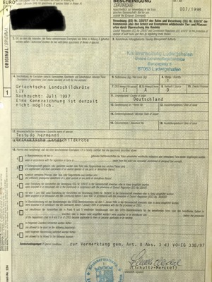 Griechische Landschildkröten t.h.b. adultes Pärchen 28 ,32 Jahre Bild 6