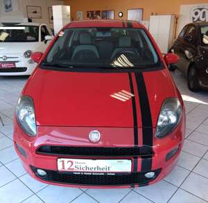 Fiat Punto 1.4 8V Klima Bluetooth Leichtmetallfelgen Bild 5
