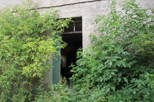 Haus zum Selbstausbau und Renovierung,Tiny House möglich Bild 4