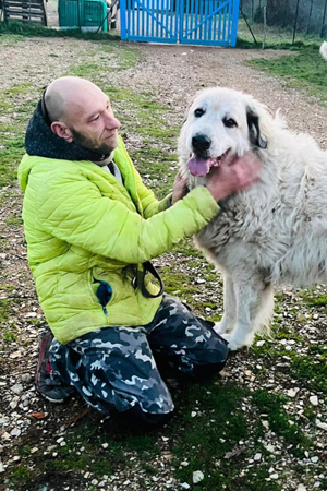 Zorro sucht ein Rentnerplätzchen Bild 7