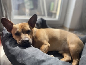 Eddie sucht neuen Seelenort