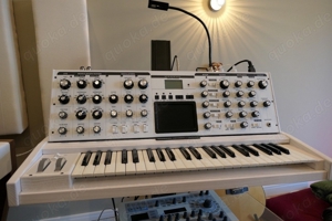 Moog Voyager - Limited Edition White ! + OVP + Lampe + OSC Mod