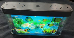 SEA-World-ein tolles Seaquarium mit licht, Bild 2