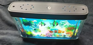 SEA-World-ein tolles Seaquarium mit licht,