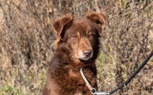 Gibst du Hermine eine zweite Chance?