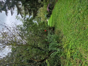 Freizeitgrundstück, Wiese, Streuobstwiese , Holzplatz