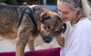Tikaani sucht ein neues, liebevolles Zuhause