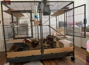 Kleintierkäfig mit oder ohne Zubehör