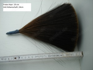 Gamsbart bzw. Tahrbart Bild 2
