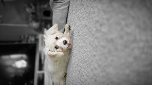 Daisy und Yuky Bild 2