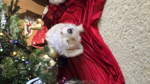 Daisy und Yuky Bild 1
