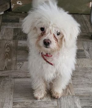 Daisy und Yuky Bild 3