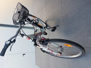 Mädchenfahrrad Pegasus Avanti 24 Zoll 7 Gang Bild 2