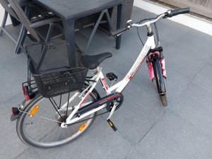 Mädchenfahrrad Pegasus Avanti 24 Zoll 7 Gang Bild 4
