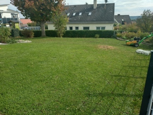 Heckenschnitt   Grüngut   Häckseln   Fällung   Rasenmähen   Wurzelstockfräsen Bild 3