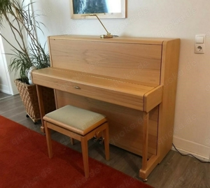 SAUTER Klavier - Piano Vision 116 Buche satiniert + Reiner Stuhl und Lampe